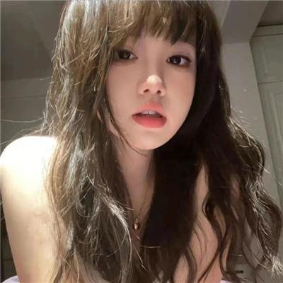 白鸥啊 不要飞起来