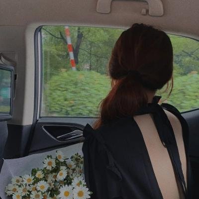 汤姆猫与杰利鼠:海盗寻宝